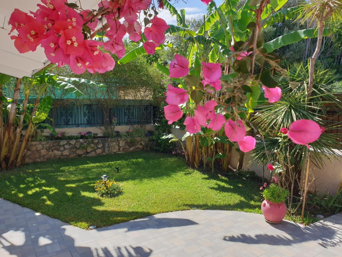Aloe House Lakithra Villa Екстериор снимка